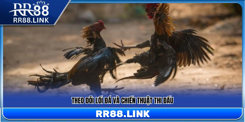 Chú ý diễn biến và nhịp độ trận đấu